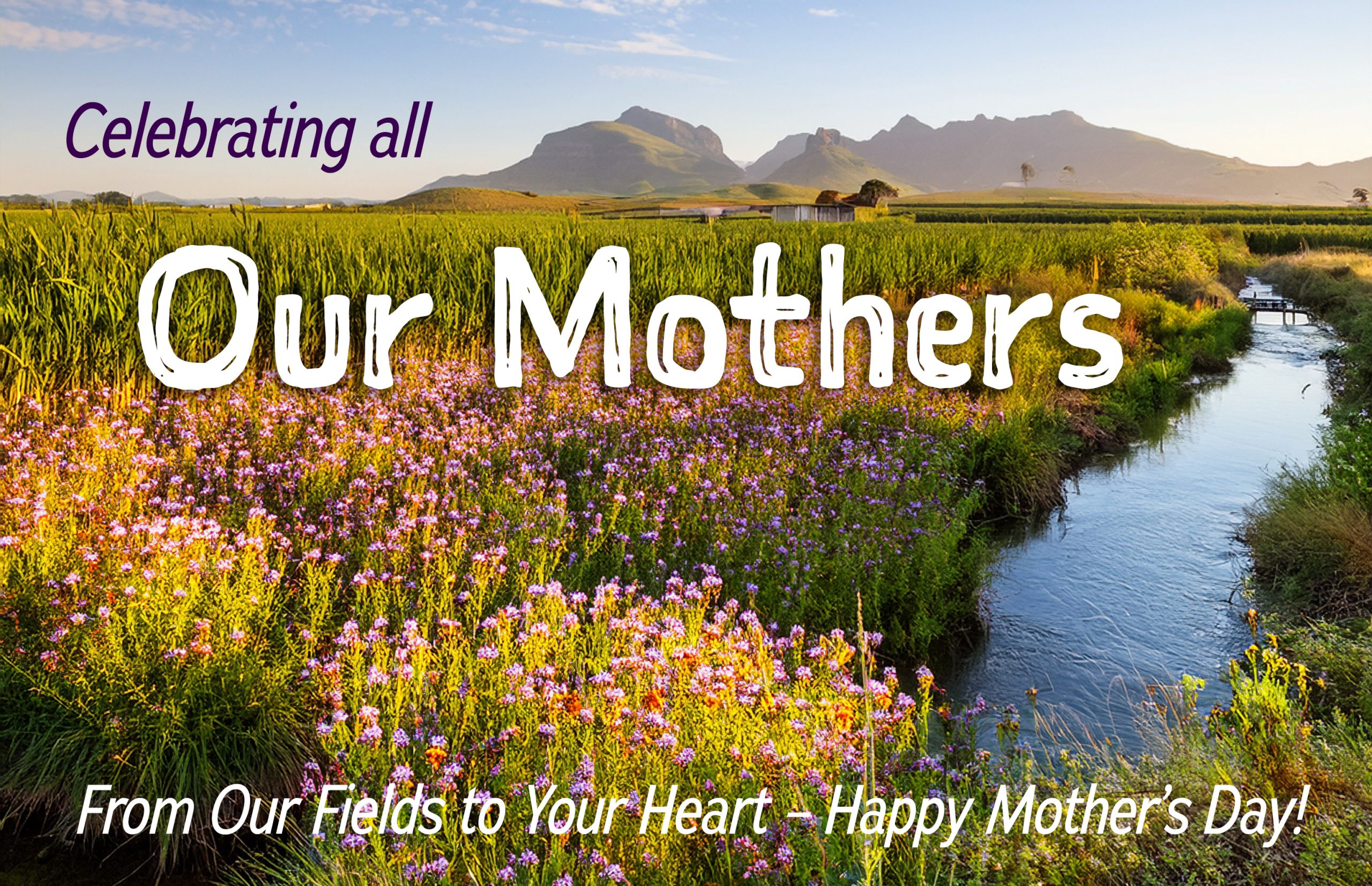 Mother's Day greeting image