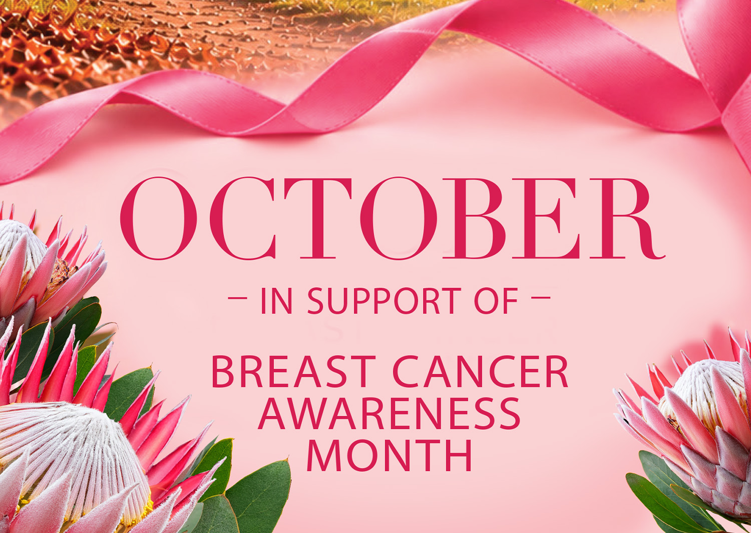 October - in support of Breast Cancer Awareness Month